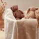 Дитячий флісовий плед 75&times;100 см та плюшева іграшка Зайчик, подарунковий набір BabyOno, 75х100 см
