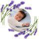 Грелка из косточек вишни с ароматом лаванды (термофор) 13х16 см Серый BabyOno