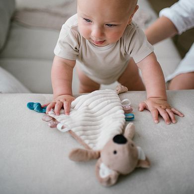 Іграшка-комфортер, обіймашка з брязкальцем Коала Чарлі BabyOno